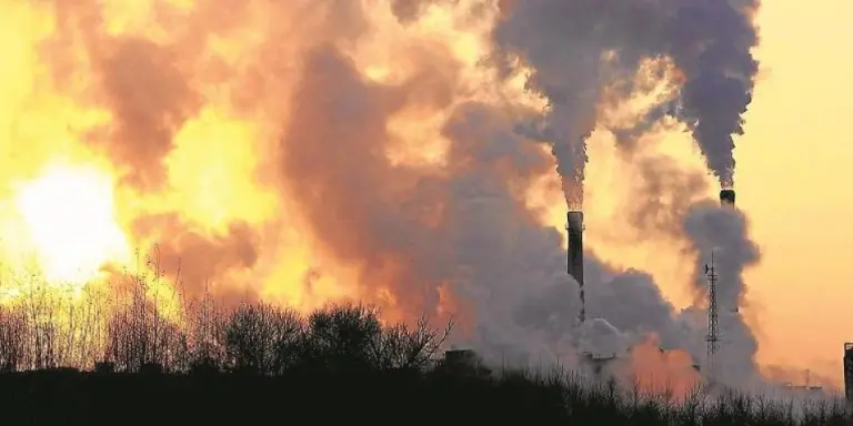 Lee más sobre el artículo Tratamiento contable de bonos de carbono usados para compensar el impuesto al carbono — Concepto CTCP 2026-87